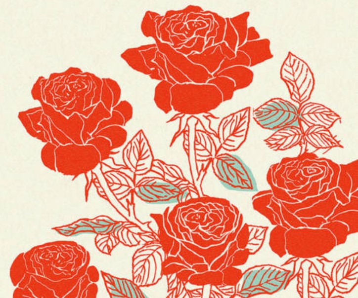 Welcome to the Rosebush – The Rosebush