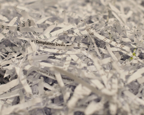 A closeup of shredded paper, in focus in the middle, blurry at the edges.