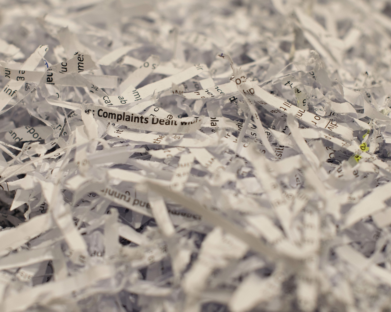 A closeup of shredded paper, in focus in the middle, blurry at the edges.